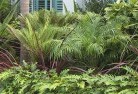 Glen Nevistropical-landscaping-2.jpg; ?>